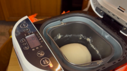 Masa pizza panificadora moulinex